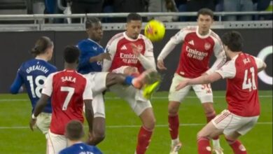 Premier League explains the no-penalty call as Everton boss David Moyes fumes after Arsenal survive at Goodison Park